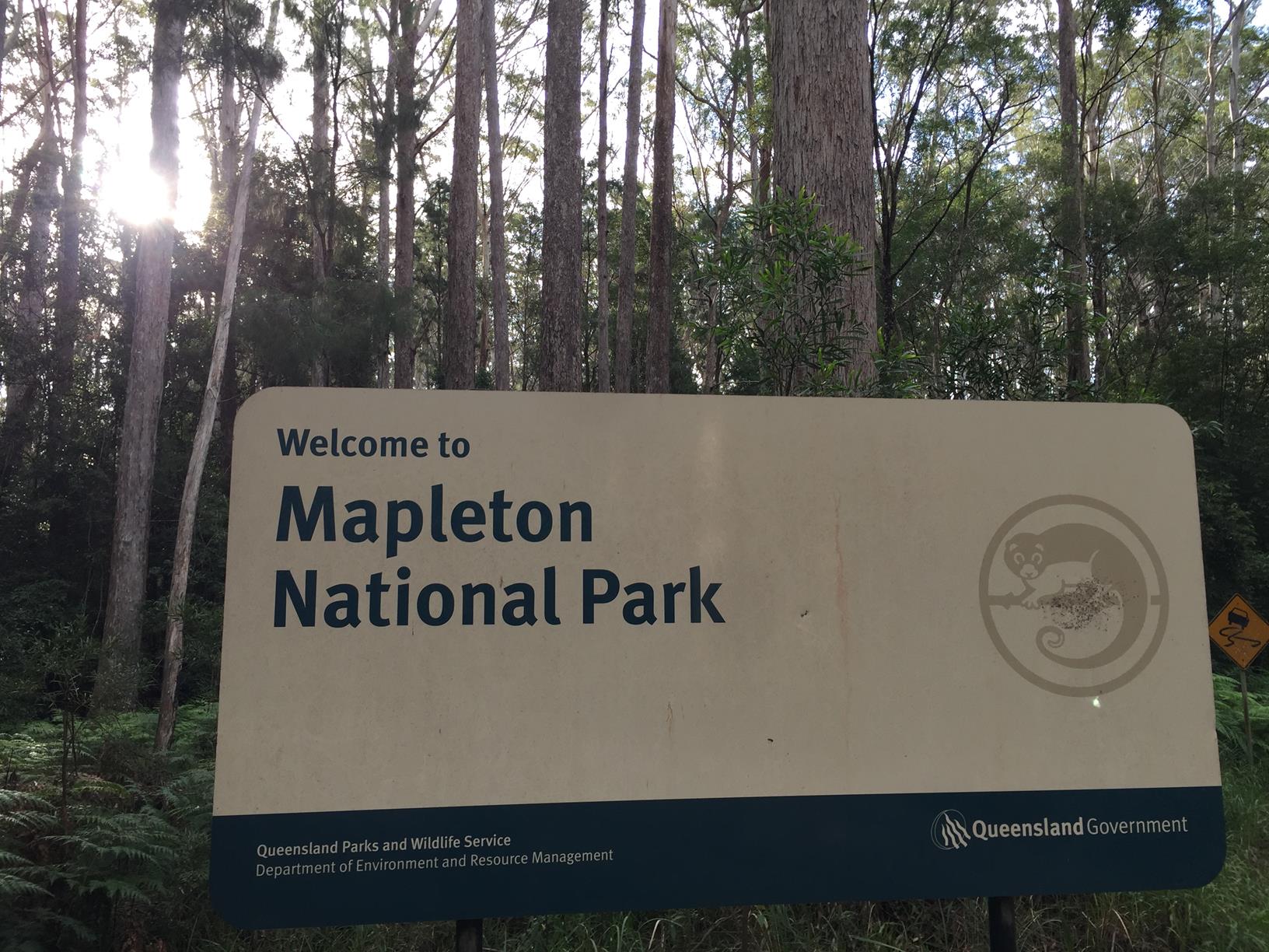 Mapleton National Park Kureelpa Falls Circuit Adventure Sunshine Coast mapleton-national-park-kureelpa-falls-circuit-adventure-sunshine-coast